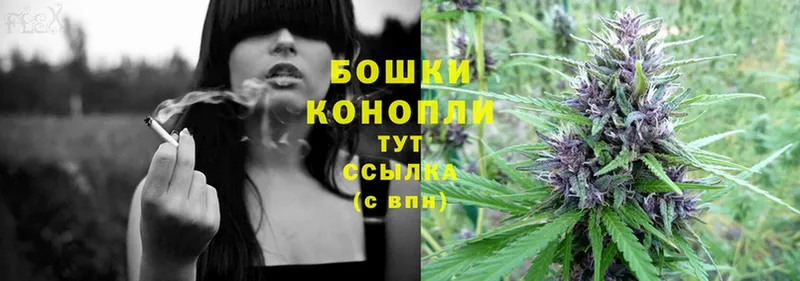 Каннабис OG Kush  Петровск-Забайкальский 